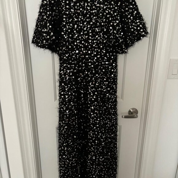 NWT Zara Limited Edition Sequin & Pearl Applique Maxi Dress - Picture 10 of 10